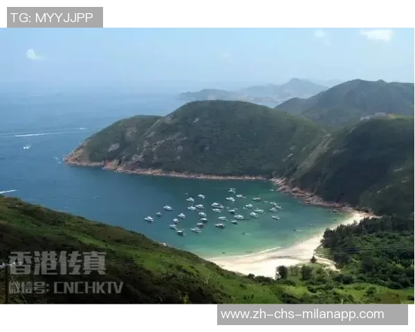 台北与香港的文化碰撞与生活方式对比探讨